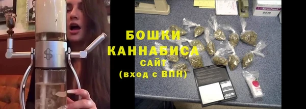 ешки Арсеньев