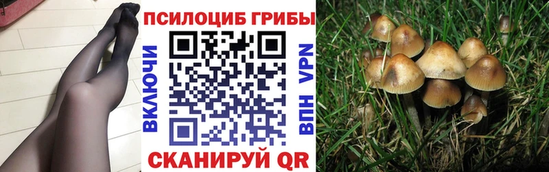 Галлюциногенные грибы мицелий  мега ссылка  Покровск 